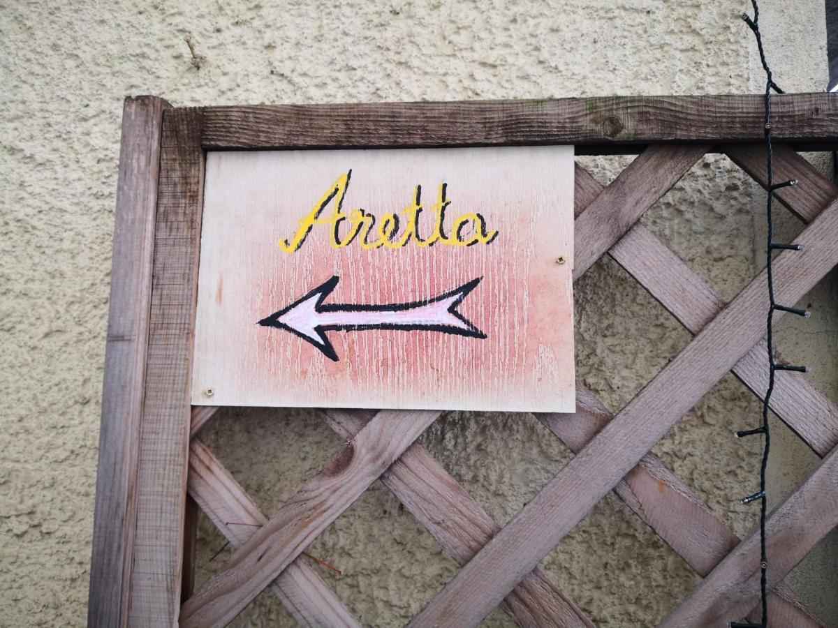 Apartament Aretta ブラショフ エクステリア 写真